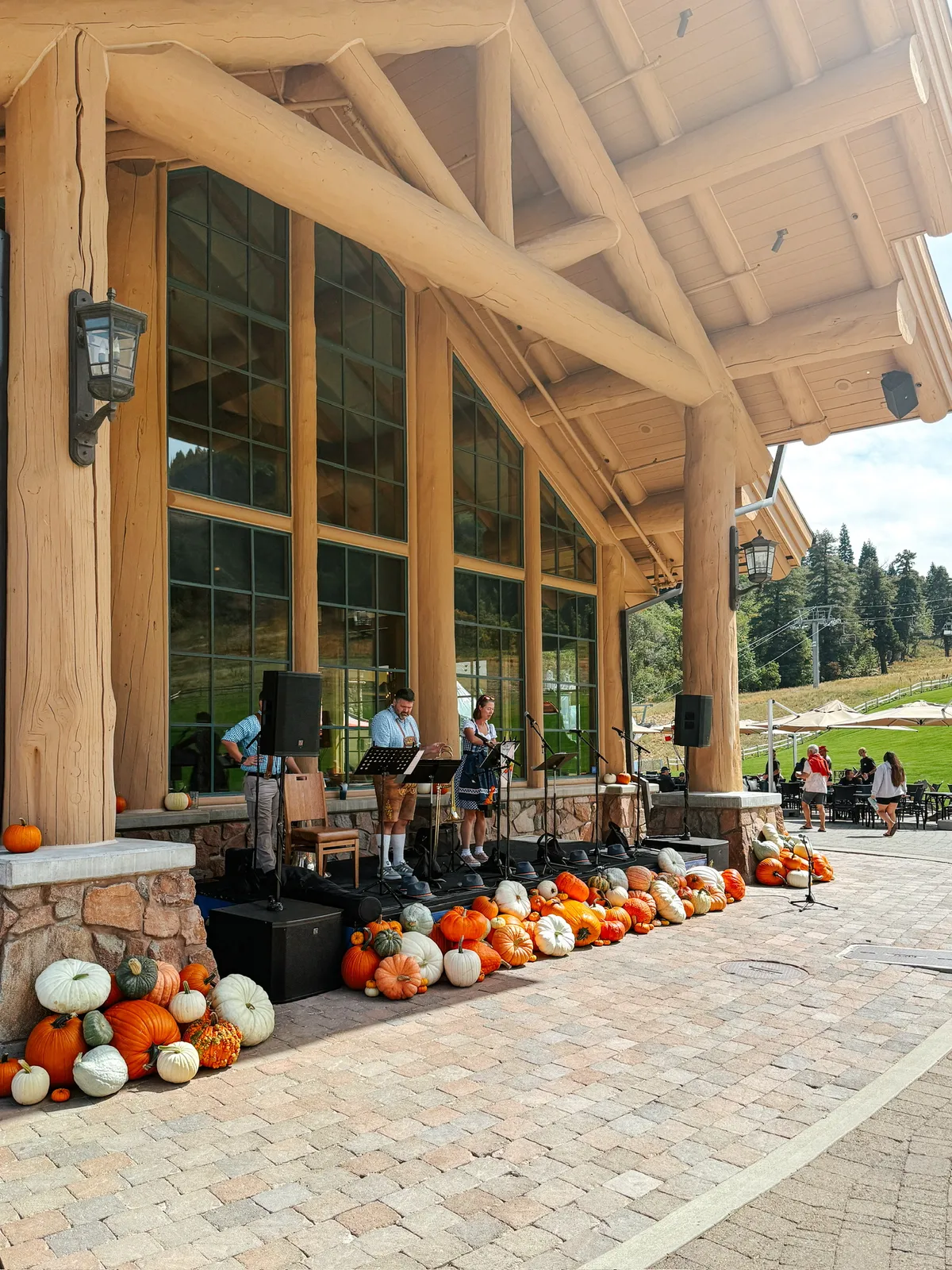 Mountain Pumpkins commercial fall display
