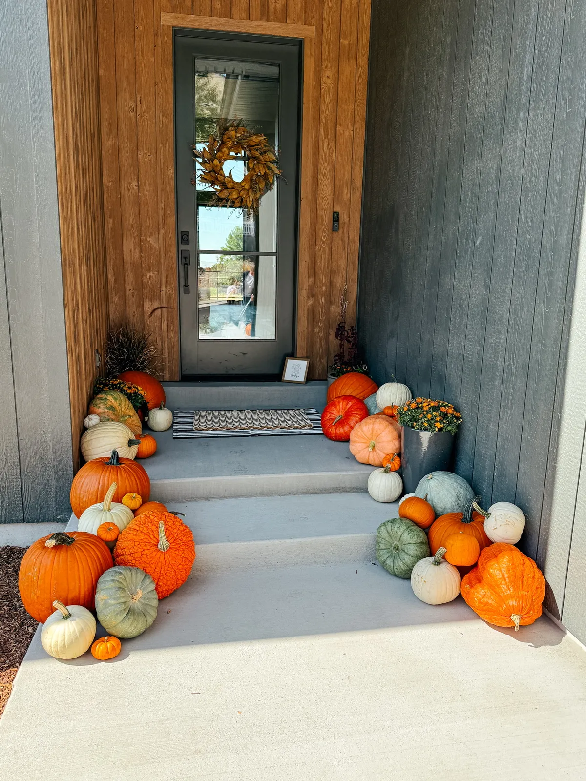 Mountain Pumpkins commercial fall display