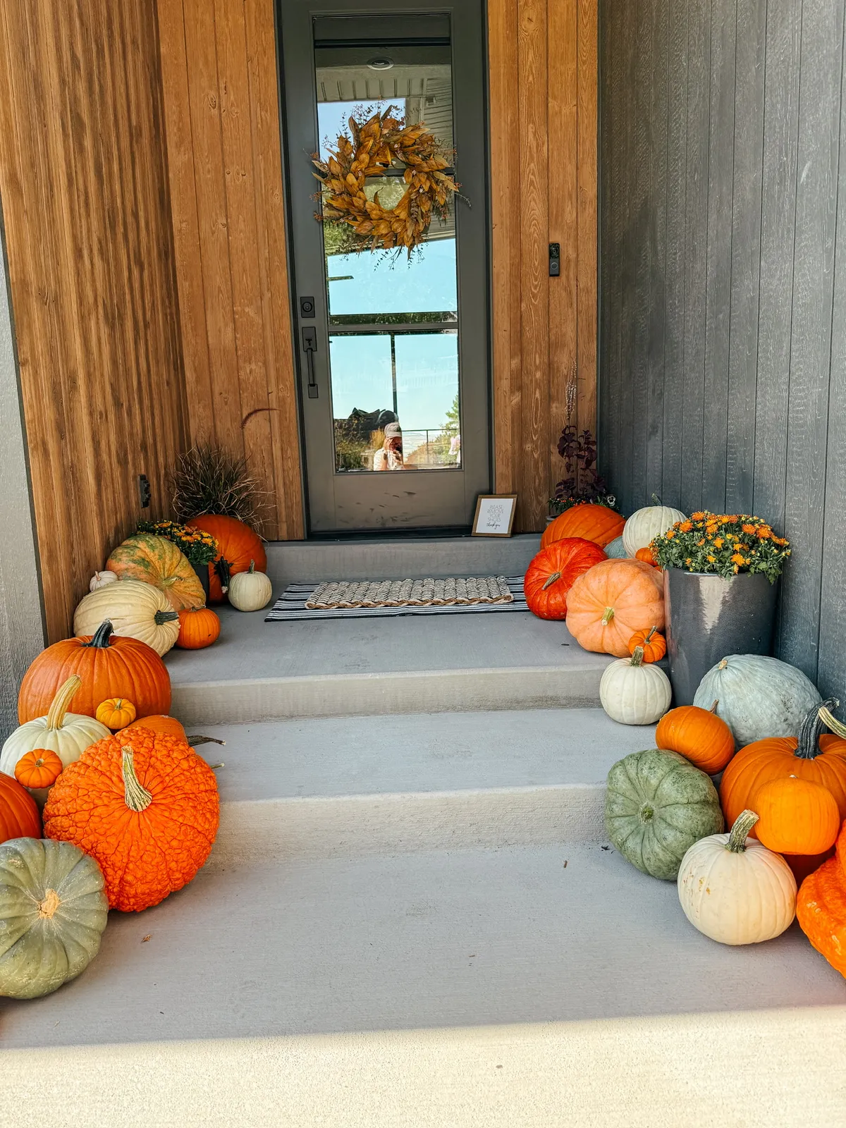 Mountain Pumpkins commercial fall display