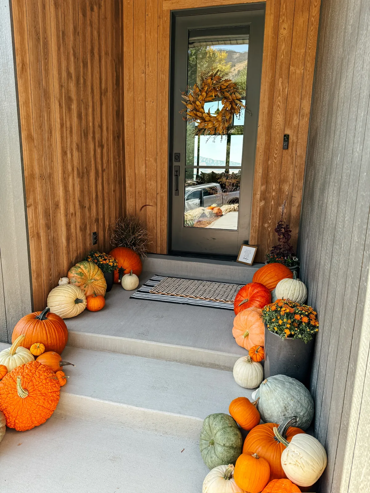 Mountain Pumpkins commercial fall display
