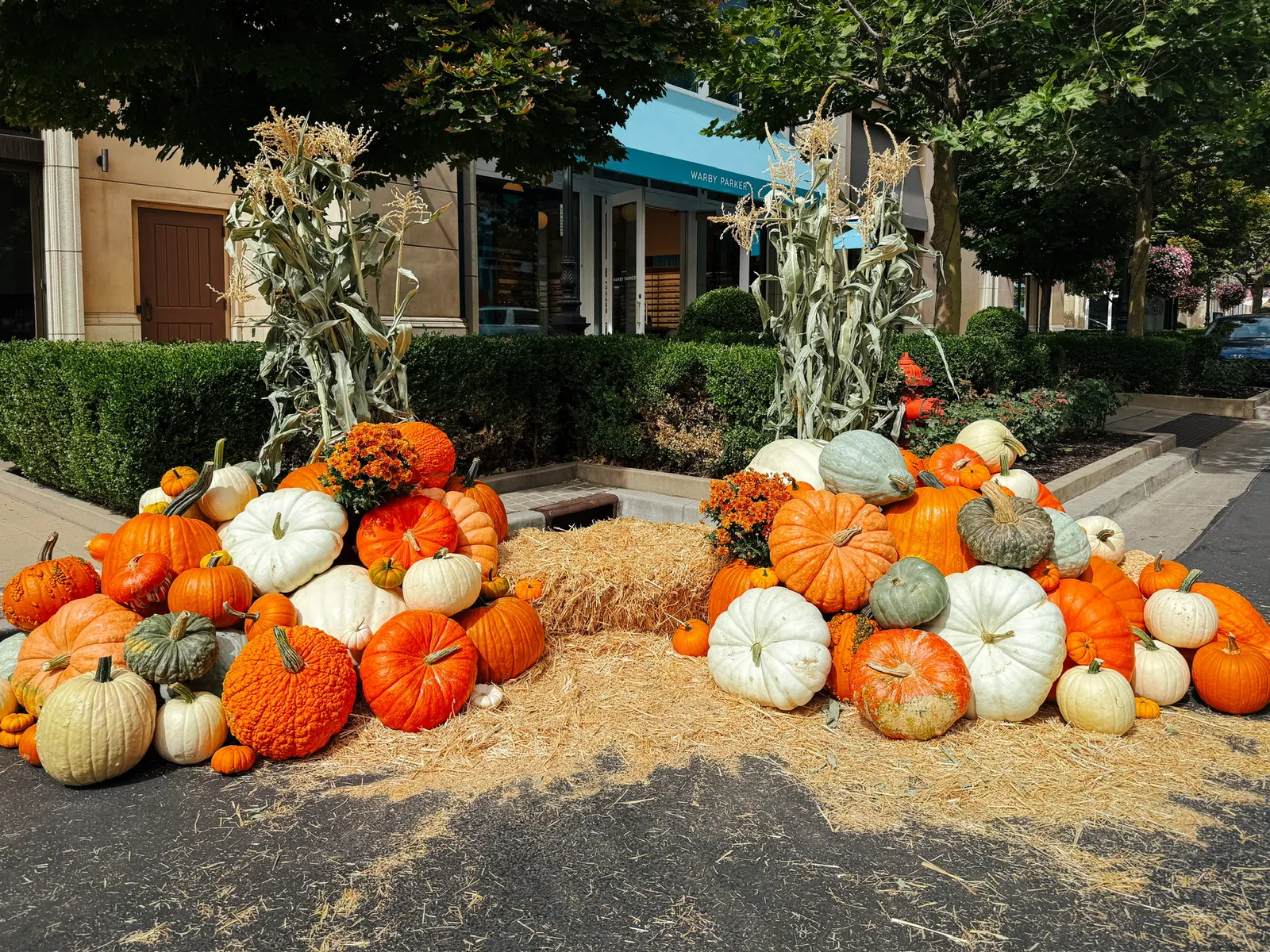 Outdoor commercial pumpkin display with two symmetrical mounds at a shopping centre entrance