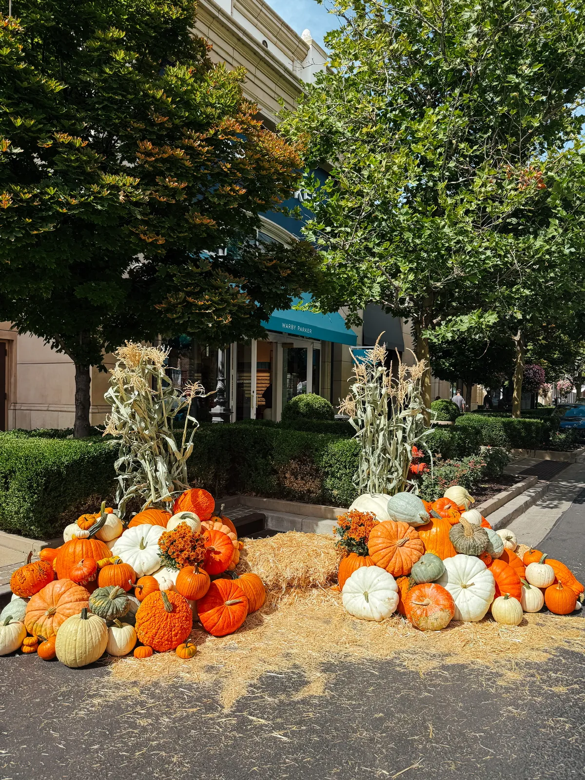 Mountain Pumpkins commercial fall display