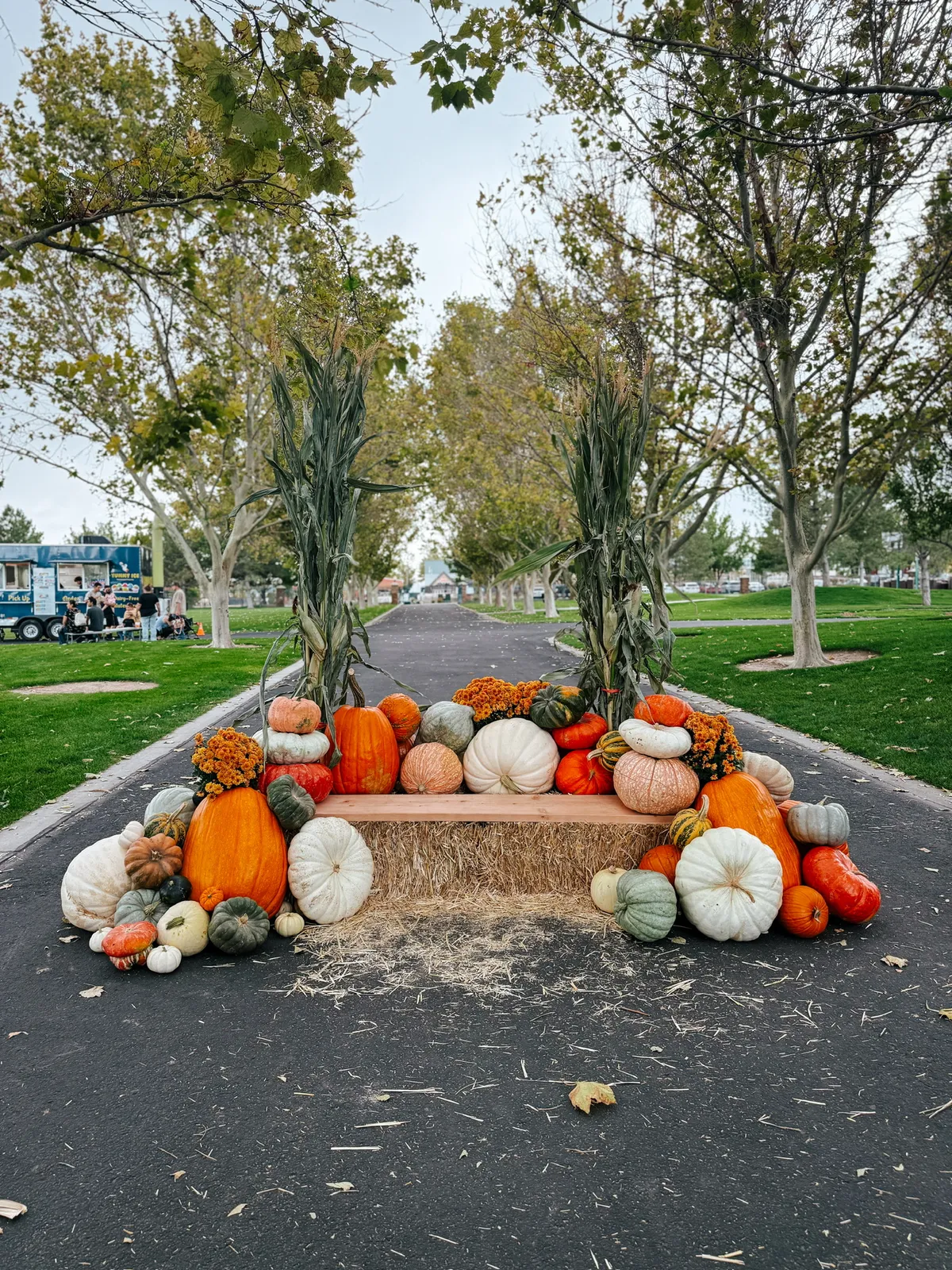 Mountain Pumpkins commercial fall display