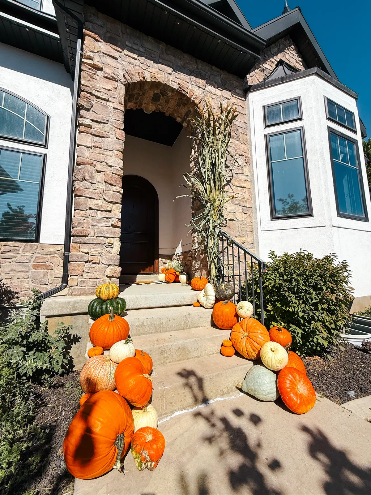 Mountain Pumpkins commercial fall display