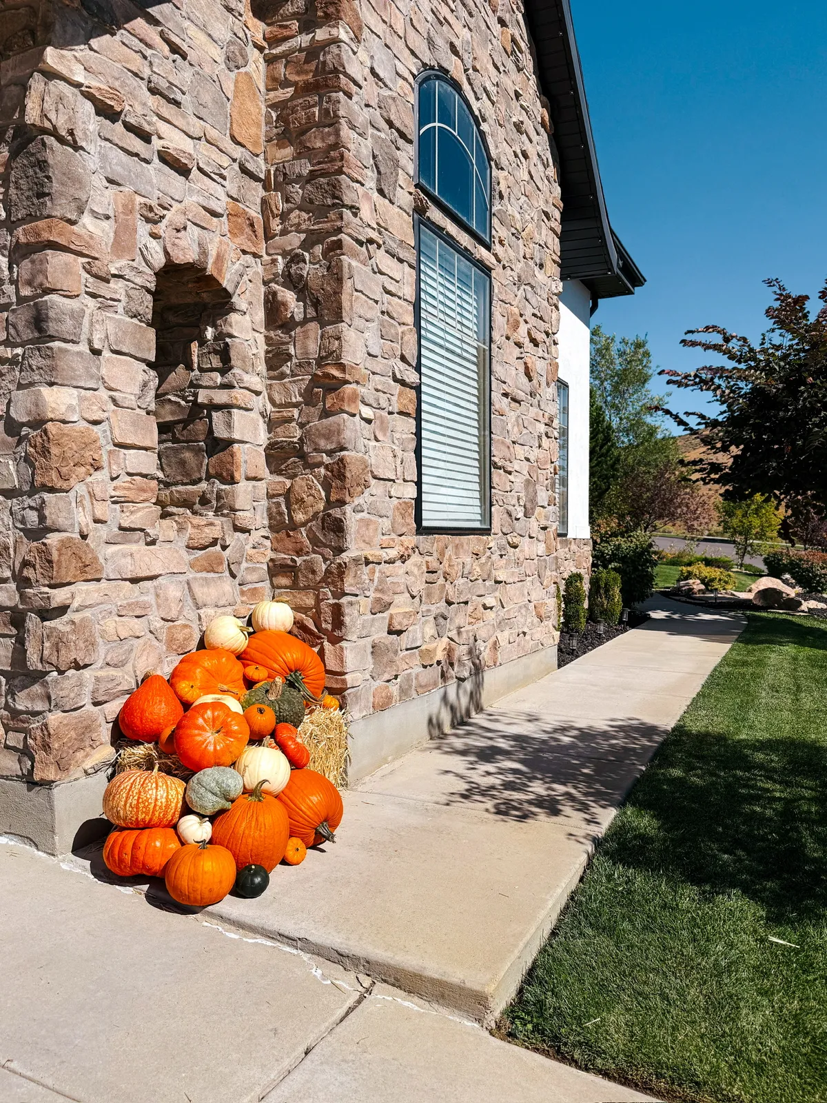 Mountain Pumpkins commercial fall display