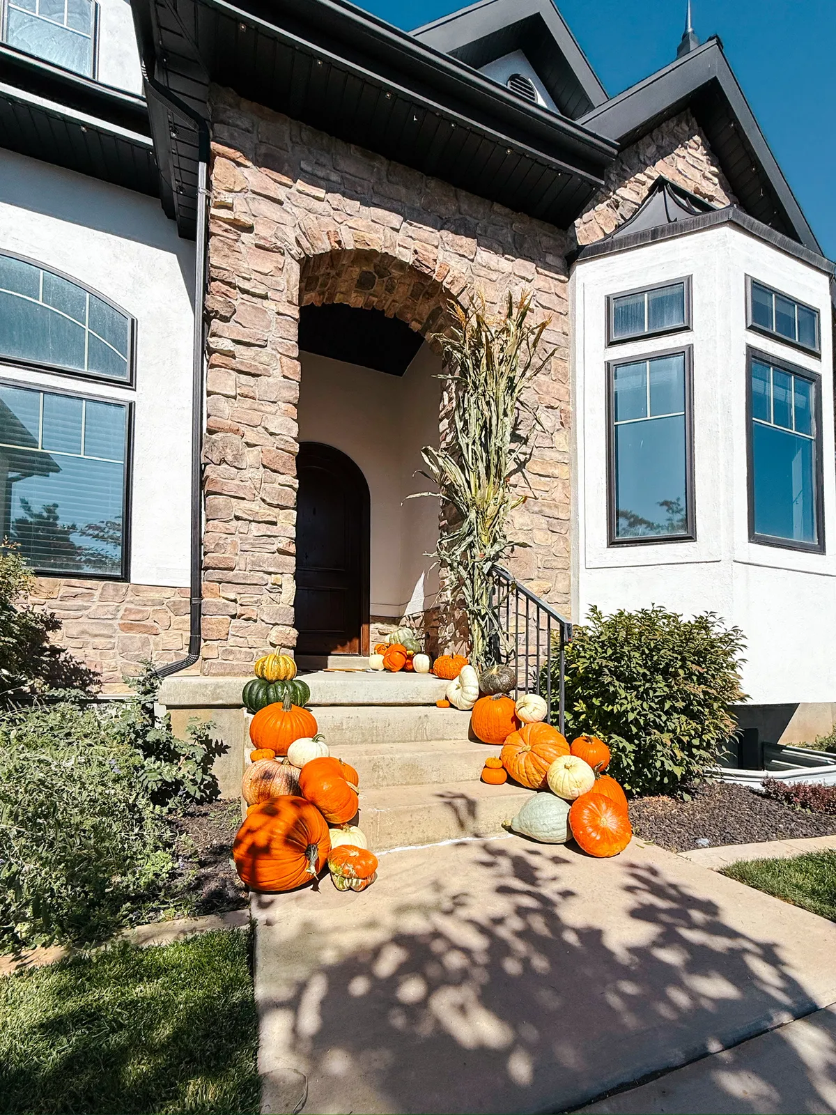 Mountain Pumpkins commercial fall display