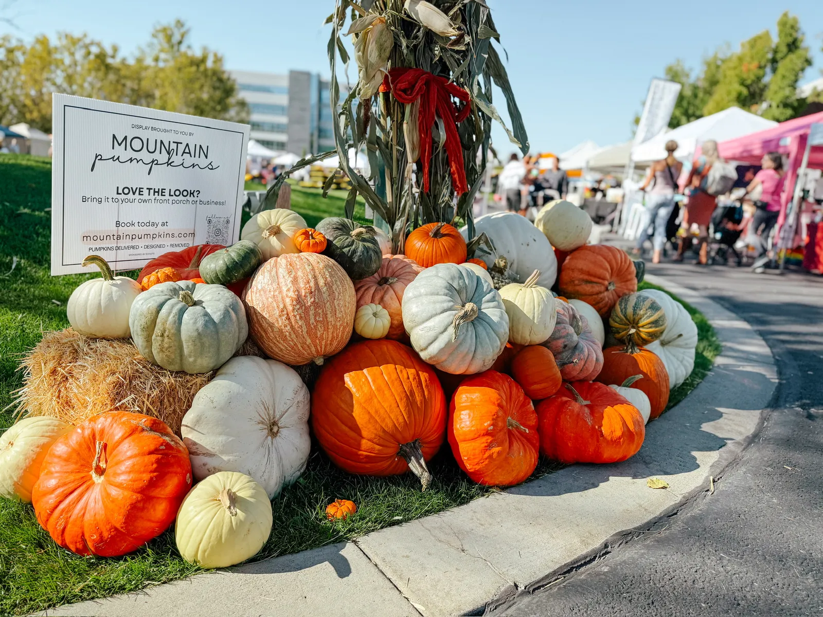 Farmers market pumpkin display showing the full range of specialty and heirloom varieties