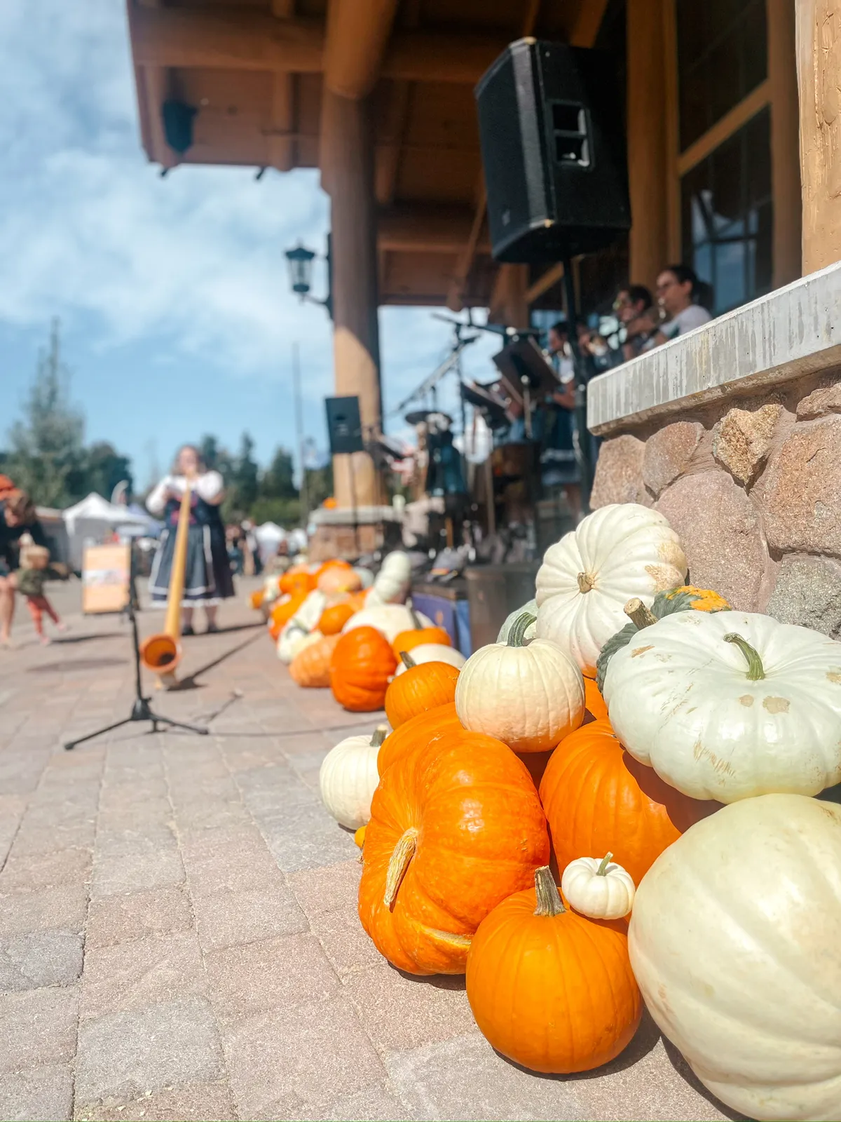 Mountain Pumpkins commercial fall display