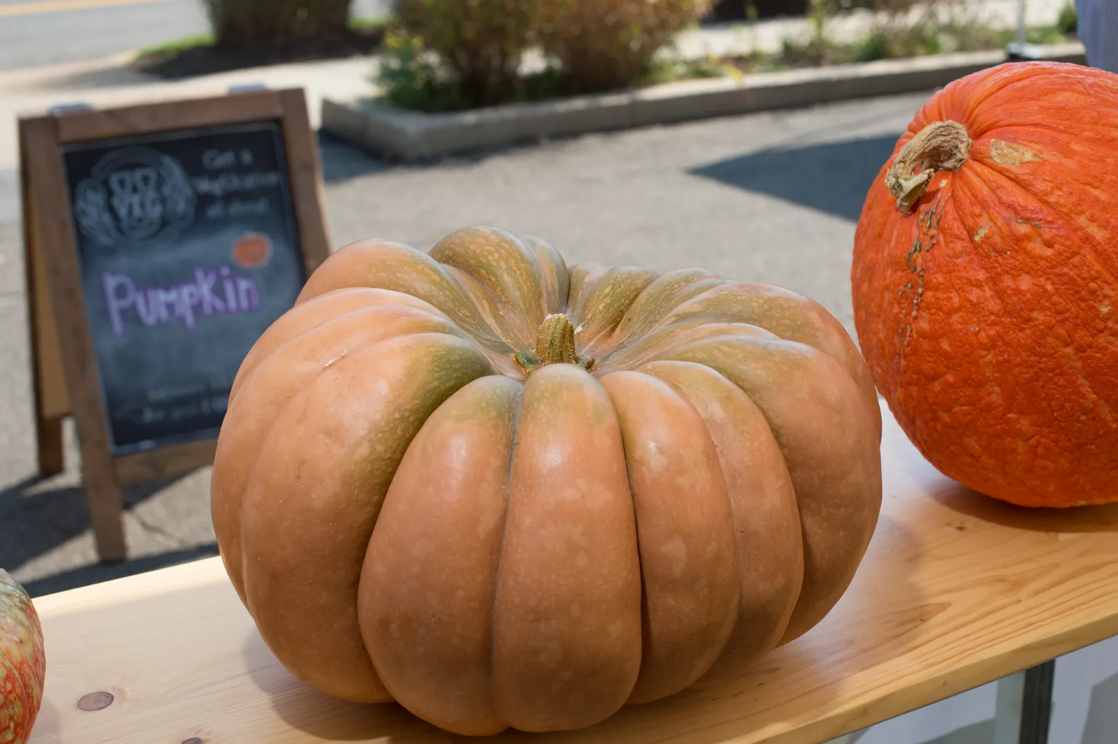 A Fairytale (Musquee de Provence) pumpkin: flattened, deeply lobed, russet-tan