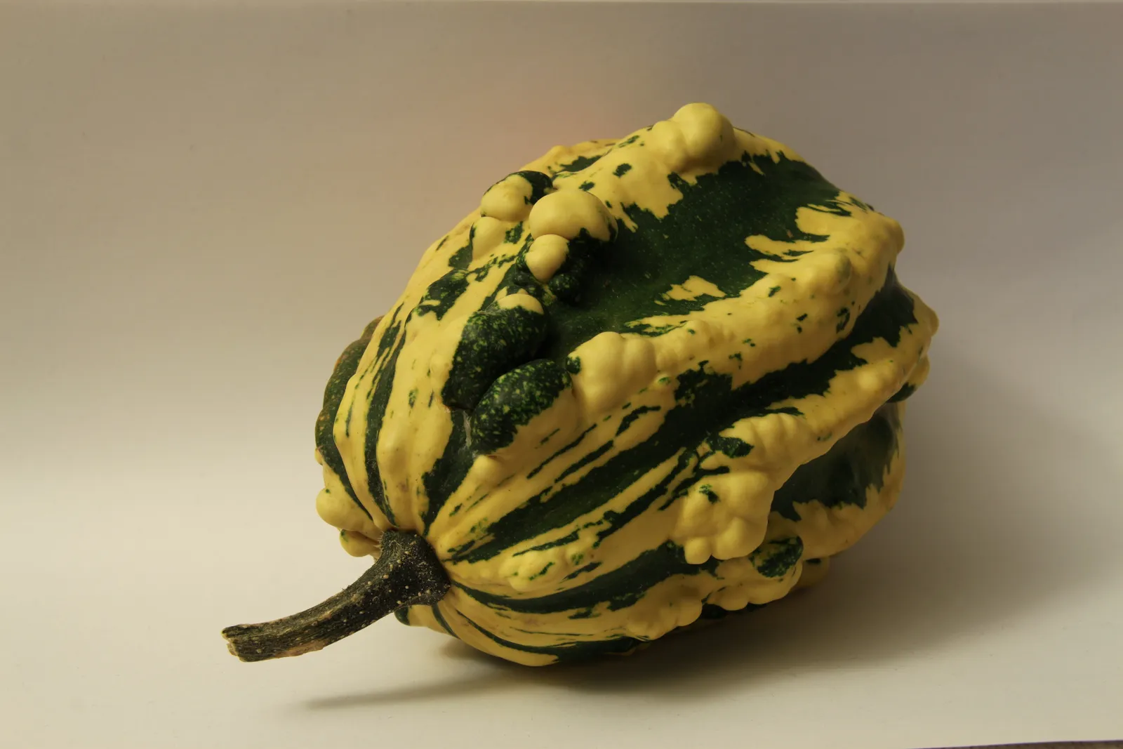 Assorted ornamental gourds in mixed colours, shapes and textures