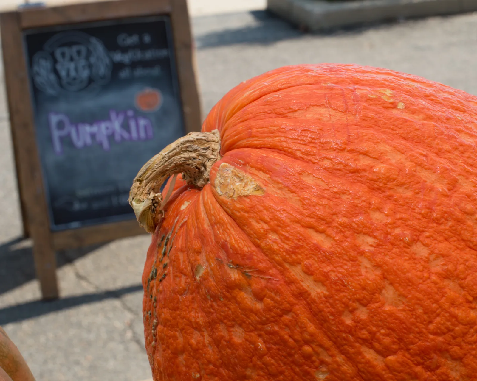 A warty pumpkin: deep orange with a heavily bumped, rough surface